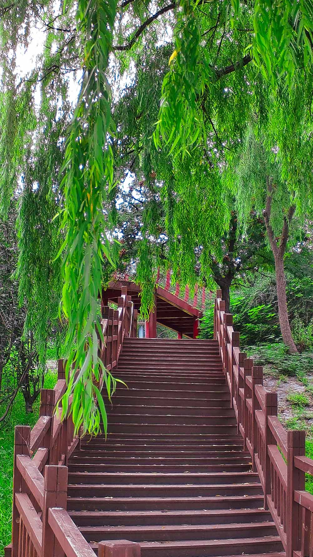 PARK
