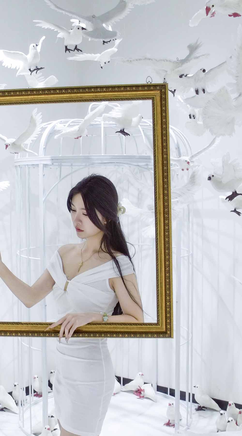 你我都是笼中鸟