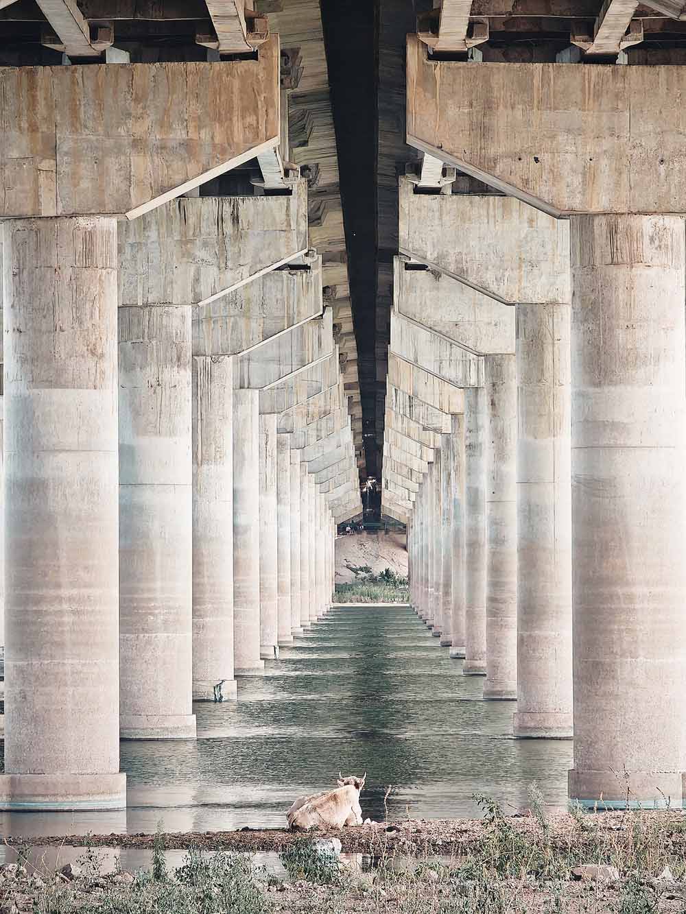 松