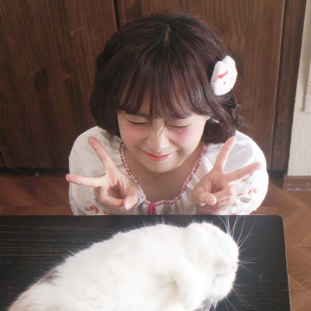 猫咪小头像