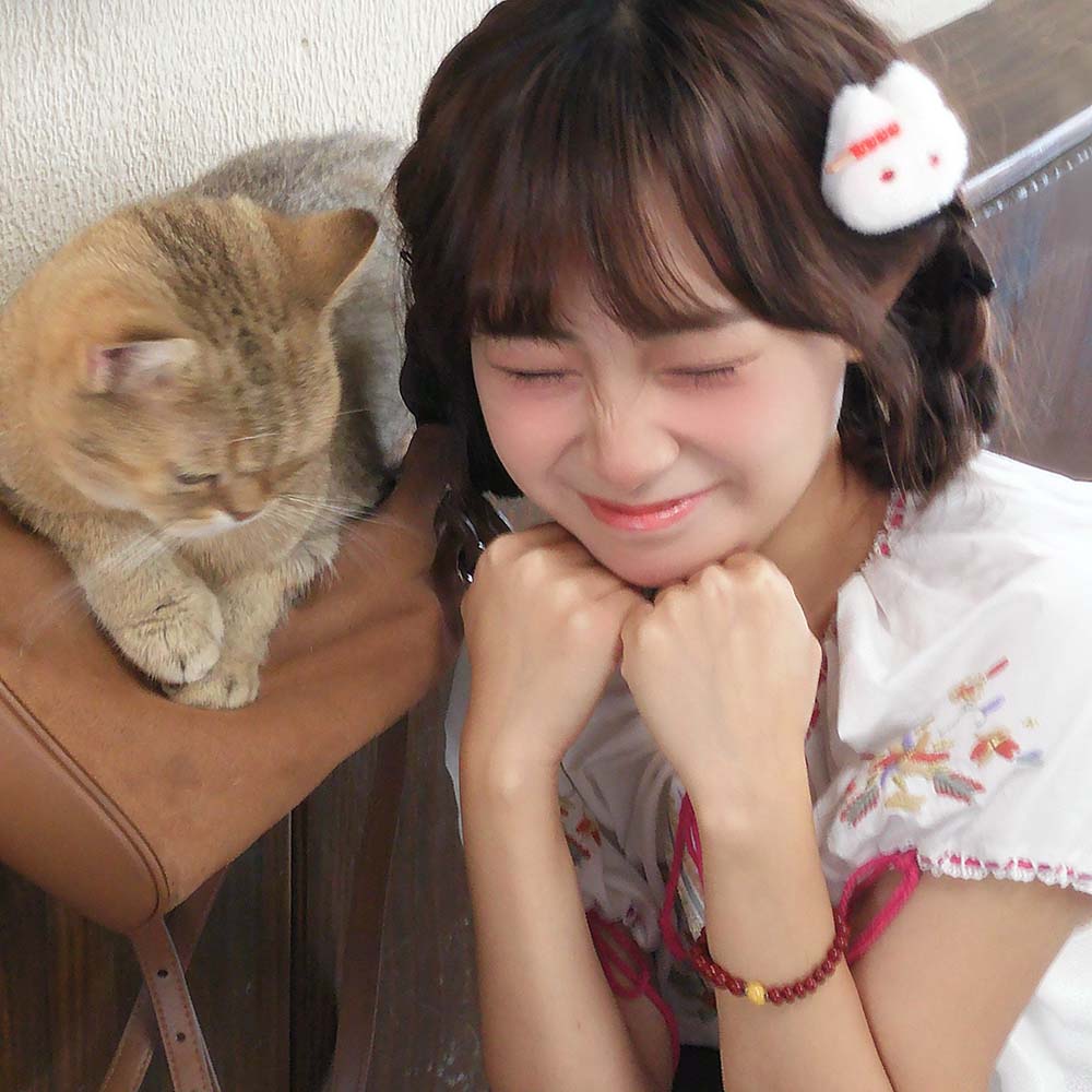 猫咪小头像