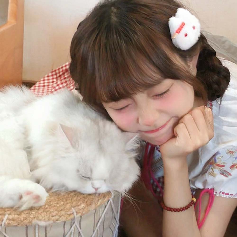 猫咪小头像