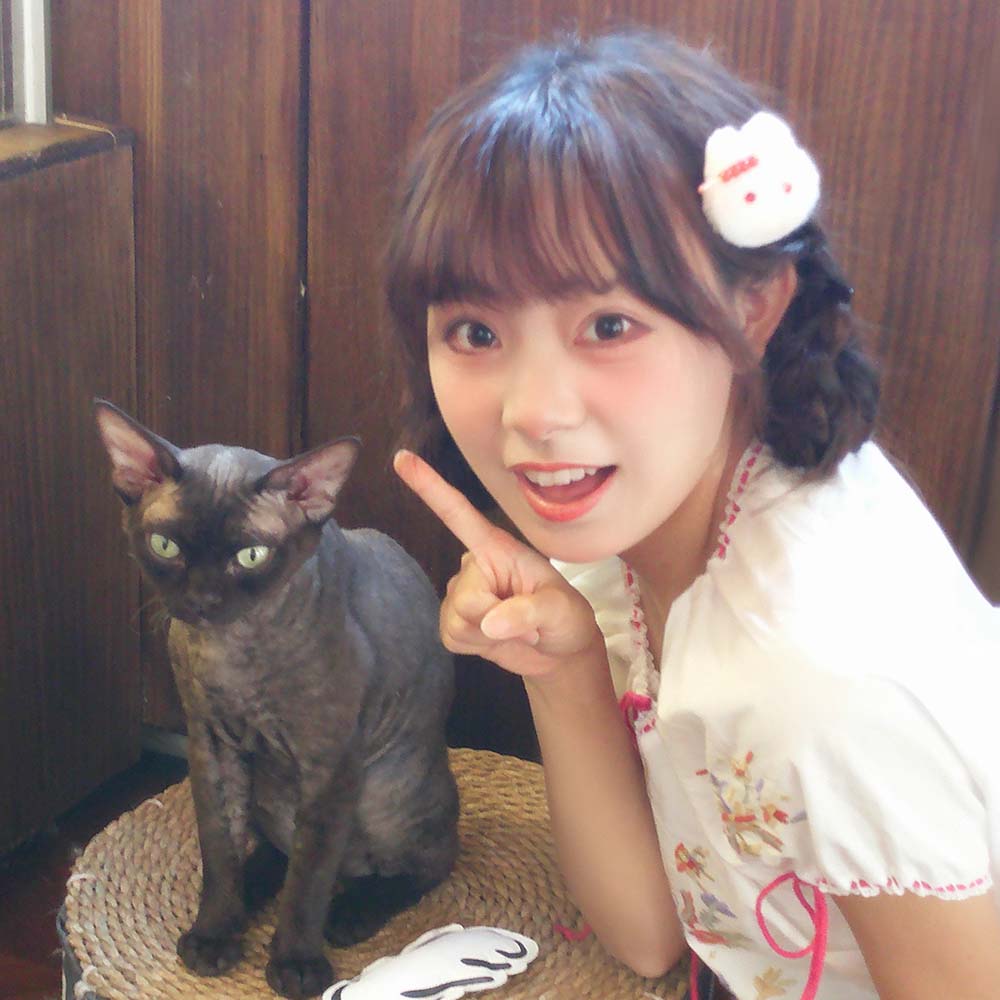 猫咪小头像
